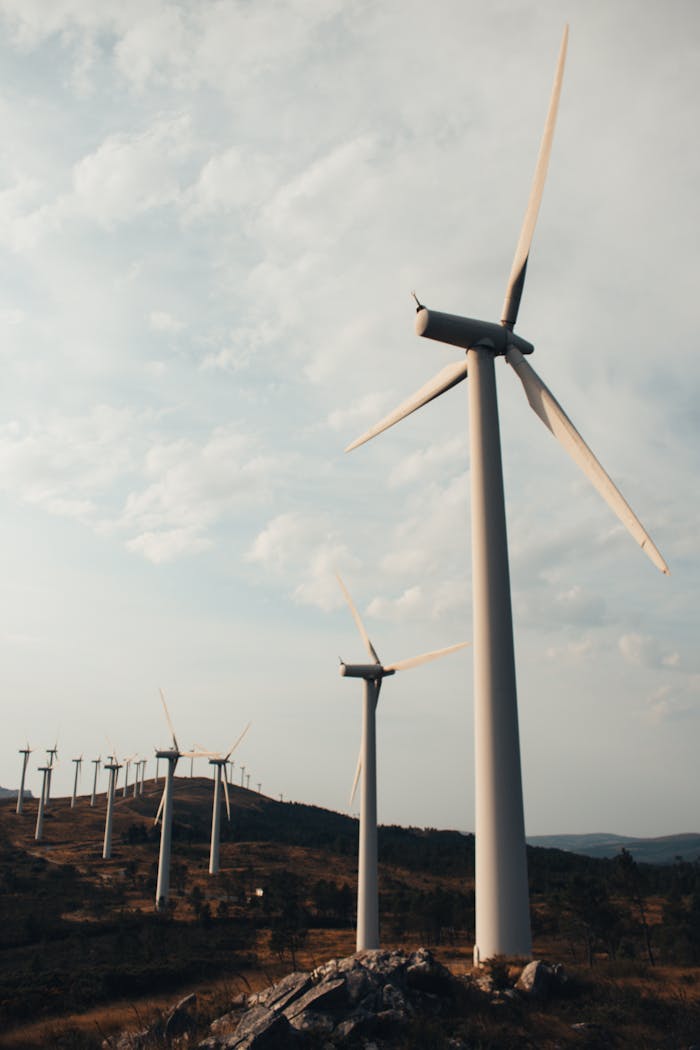 A row of tall wind turbines on a hill generating renewable energy.